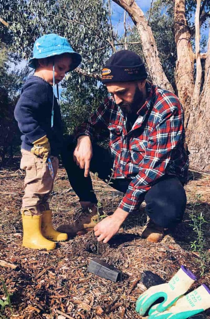 planting a tree