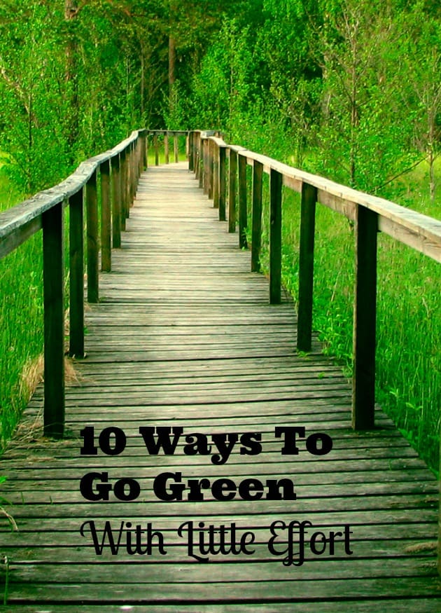 10 Ways To Go Green With Little Effort