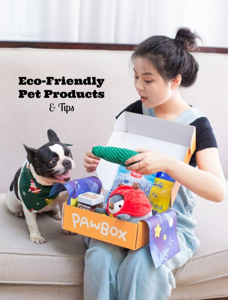 eco-friendly pet products 
