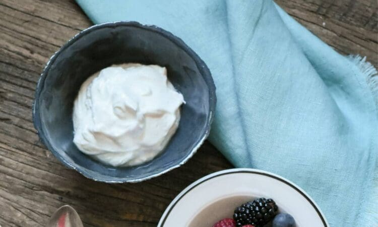 fancy yogurt homemade