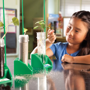 Hydroponic experiment ideas