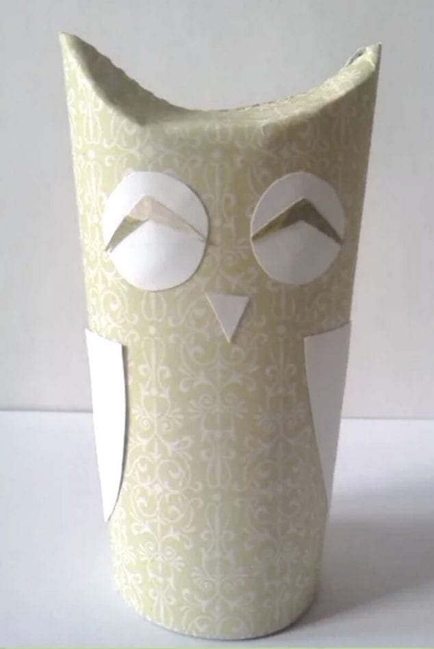 toilet paper roll owl
