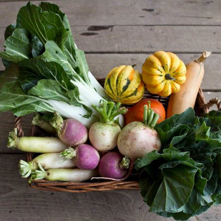 Community Supported Agriculture CSA living local tips