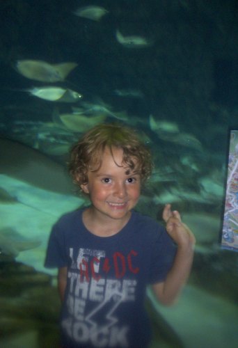 Summer Educational Activities Kids Will Love- trip to the aquarium