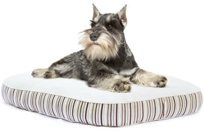 luxury dog bed giveaway