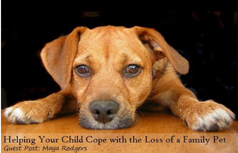 How to Help Kids Deal with Loss of a Pet