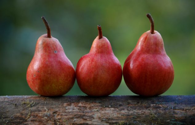 fall produce: autumn pears