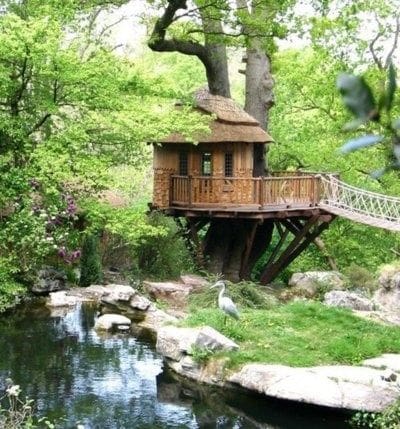 tree house designs