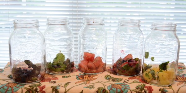 Muddled Fresh Fruit and Herbs Infused Waters
