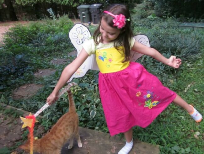 Homemade Fairy Costume