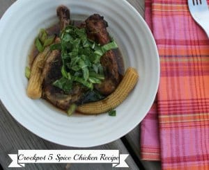 crockpot-recipe-5-spice-chicken