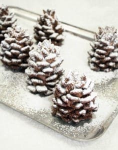 1-chocolate-pinecone-recipe-2 (1)