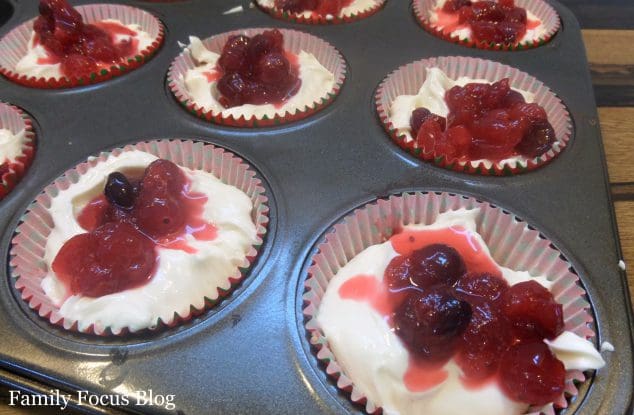 Cranberry Cheesecakes