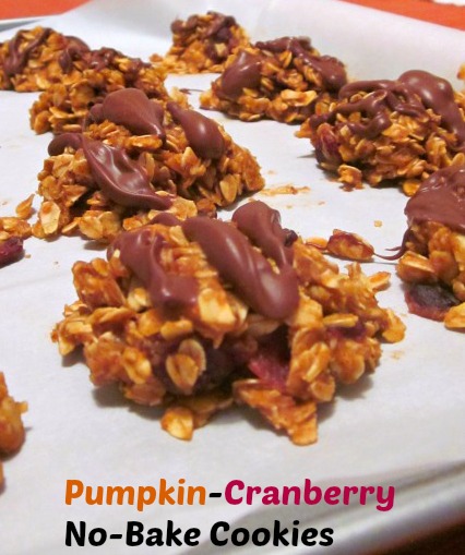 Pumpkin-Cranberry No-Bake Cookies