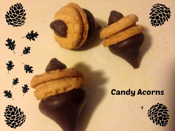 Candy Acorns