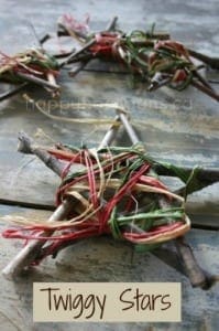 twig stars