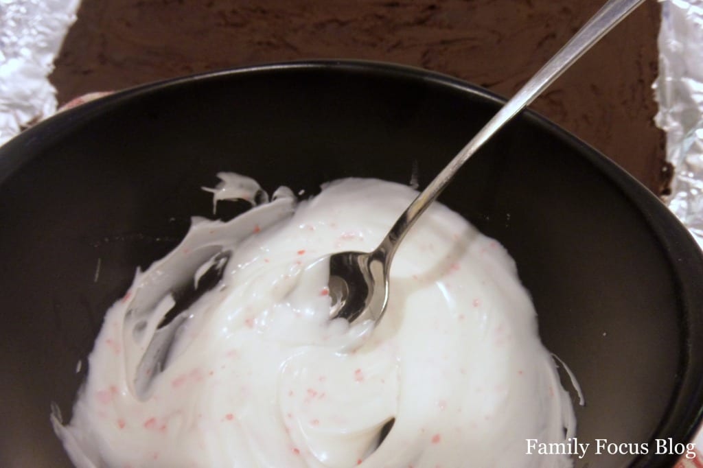 peppermint and chocolate fudge