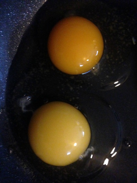 compare egg yolks
