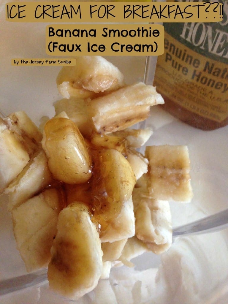 Super Easy Frozen Banana Ice Cream Recipe (No Dairy)