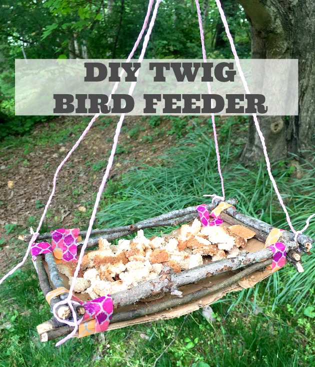 make an easy bird feeder