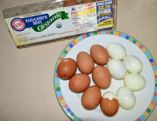 eggland best organic eggs