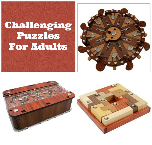 Challenging Puzzle Toys For Adults
