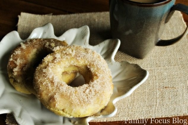 Cinnamon Sugar Gluten Free Donut Recipe