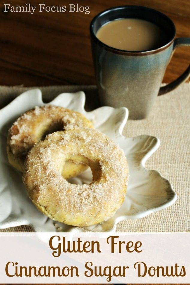 Gluten Free Cinnamon Sugar Donuts