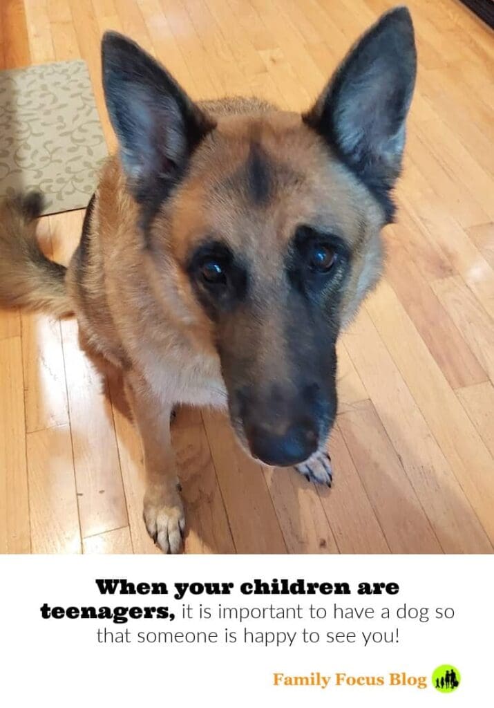 advice when parenting teens- humor