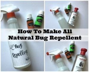 How to Make Natural Insect Repellent That Works - Family Focus Blog