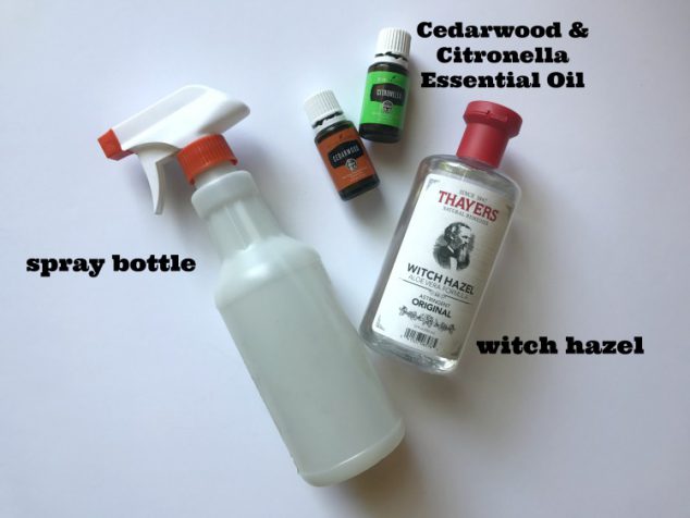 Natural Insect Repellent Recipe