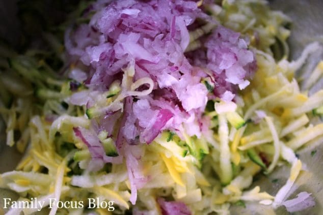 Zucchini and Squash Fritters