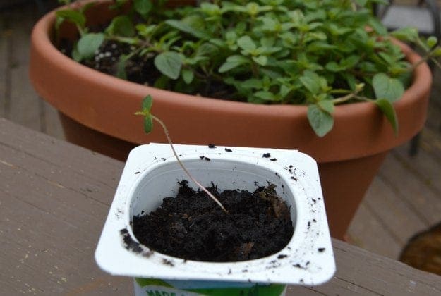 Earth Day Activities Kids Will Love