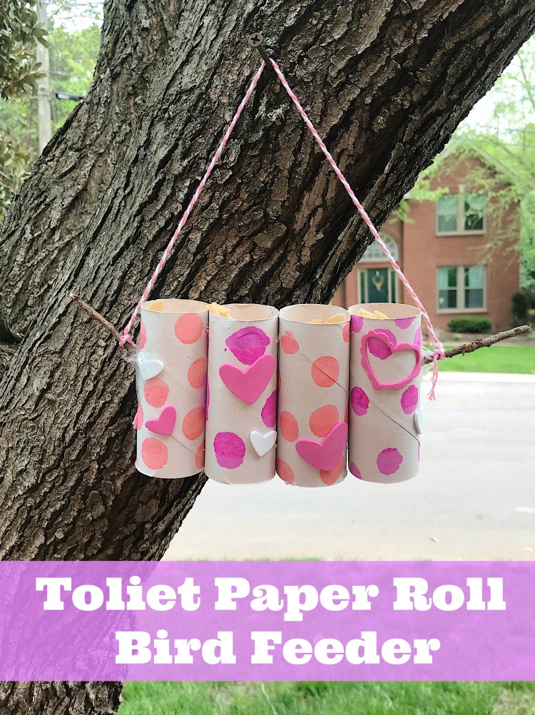 toilet paper roll bird feeder