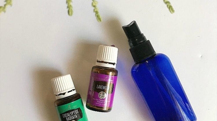 Cooling DIY Face Mist Spray for Summer