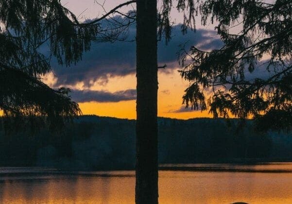 How To Go Camping- Your Complete Family Camping Trip Planner