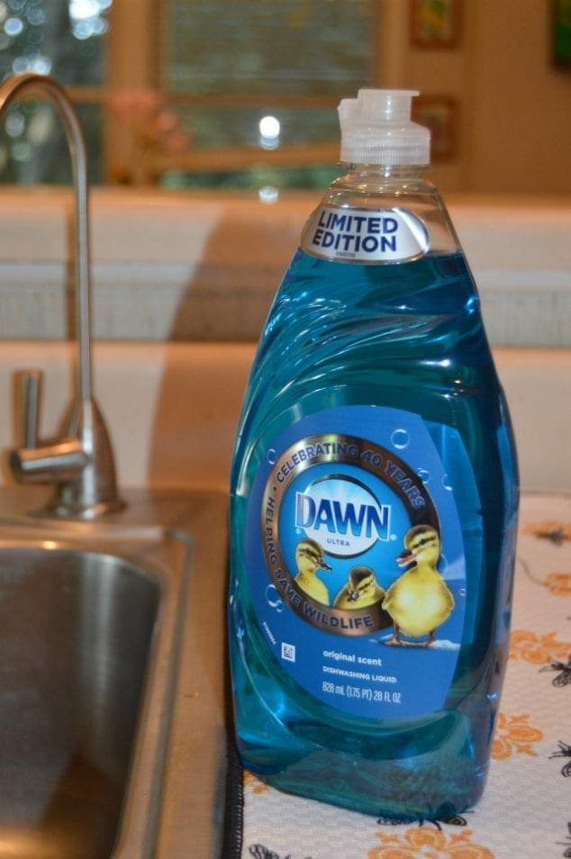 Dawn Dish Soap Celebrates 40 Years Of Helping Save Wildlife