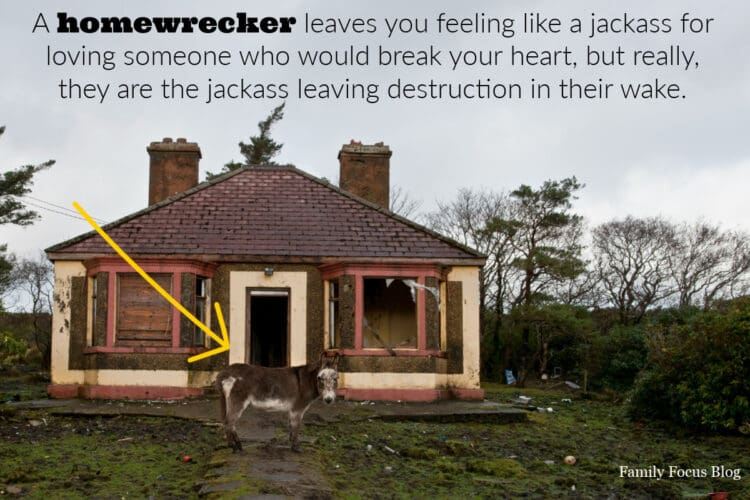 homewrecker meaning