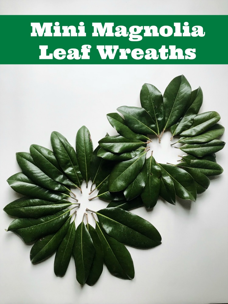 magnolia leaf wreath