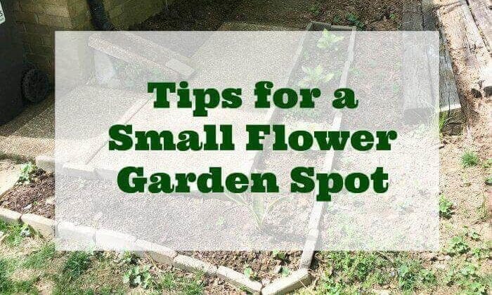 flower bed how to