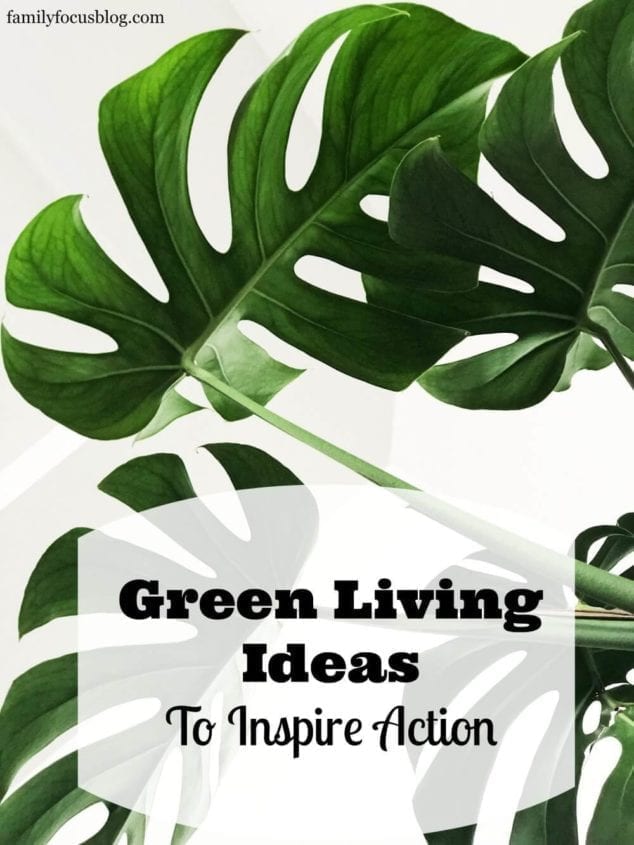 green living ideas