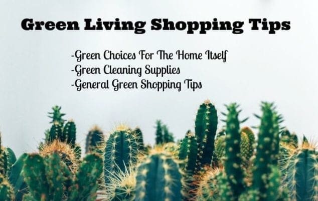 Green Living Tips for a More Sustainable Lifestyle