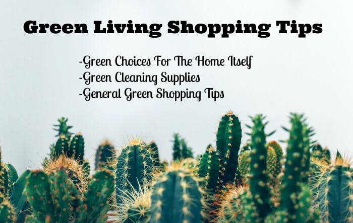 green living shopping tips