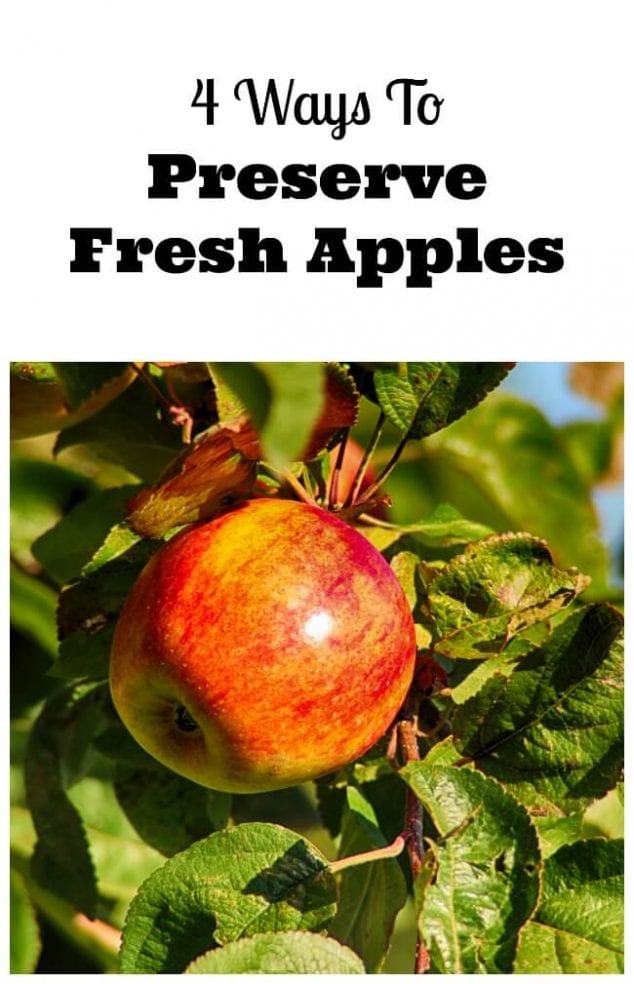 how to preserve apples