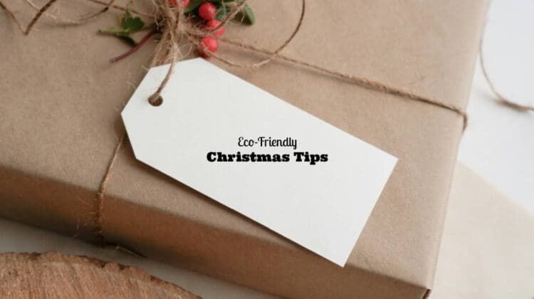 eco friendly Christmas tips