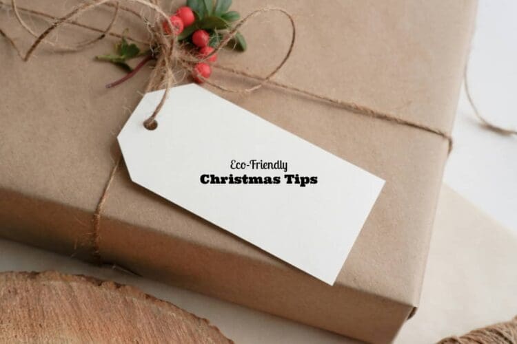 eco friendly Christmas tips