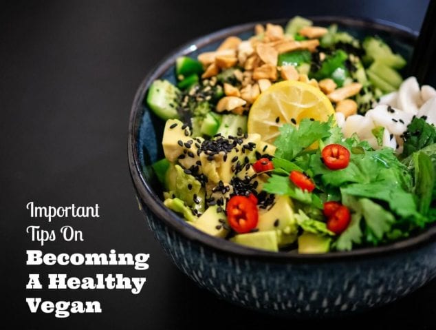 becoming a healthy vegan