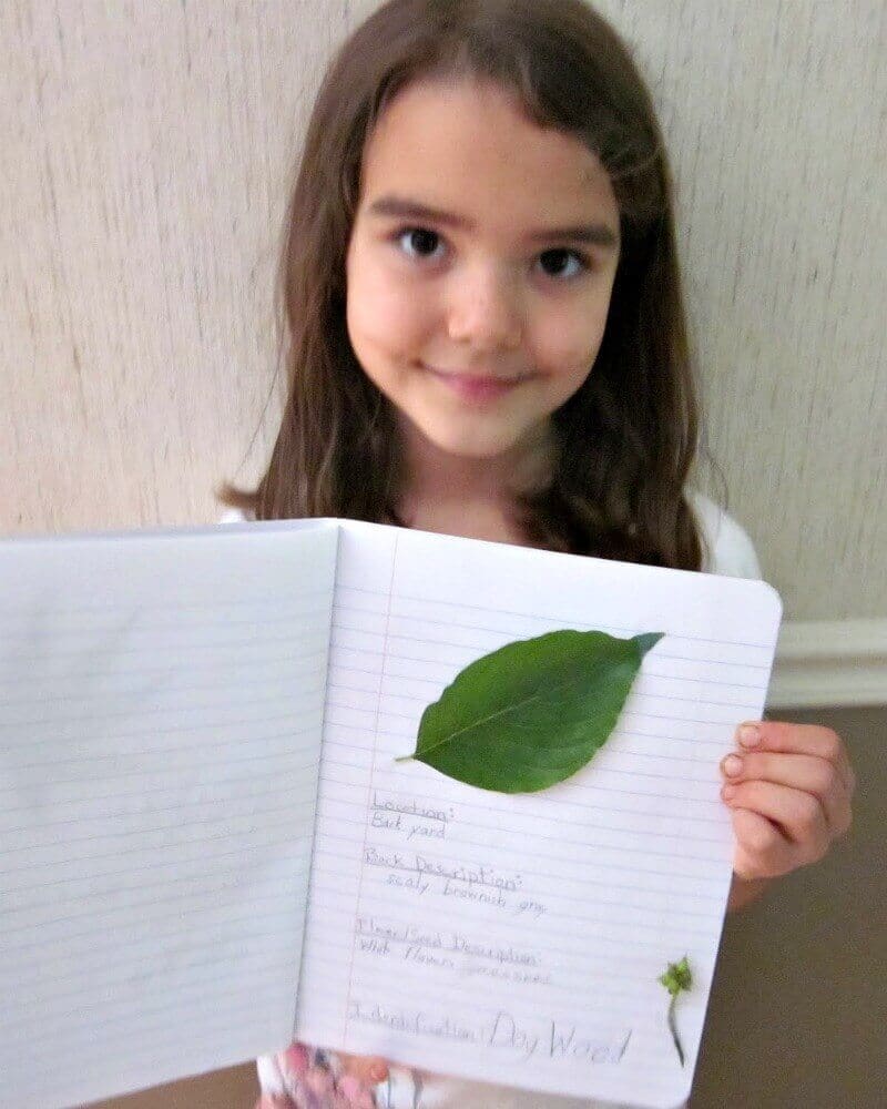 Tree Leaf Identification Project For Kids