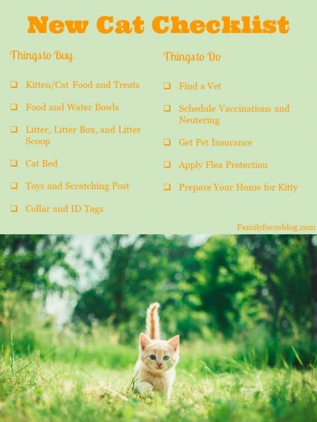 new cat checklist