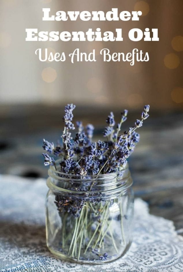 Lavender Essential Oil Uses And Benefits